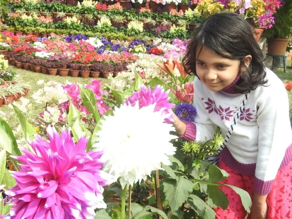 ଏକାମ୍ର ପାର୍କରେ ପୁଷ୍ପ ପଦର୍ଶନୀ