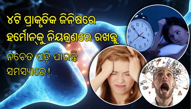 ୪ଟି ପ୍ରାକୃତିକ ଜିନିଷରେ ହର୍ମୋନ୍‌କୁ ନିୟନ୍ତ୍ରଣରେ ରଖନ୍ତୁ, ନଚେତ ପଡ଼ି ପାରନ୍ତି ସମସ୍ୟାରେ!