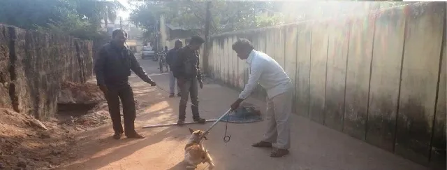 ବିମାନବନ୍ଦର ଅଞ୍ଚଳରେ ବିଏମ୍‌ସିର ସ୍ୱତନ୍ତ୍ର ଅଭିଯାନ : ଗୋରୁ ପରେ ଧରାହେଲେ କୁକୁର