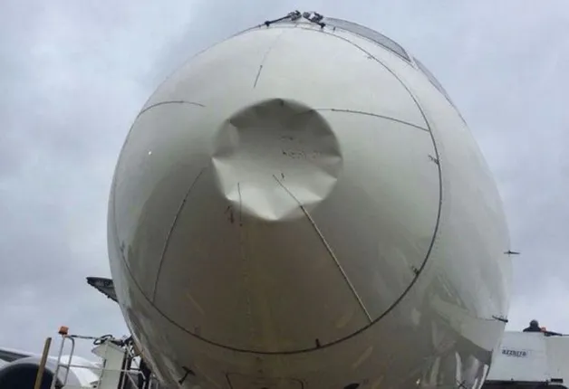 ବିମାନରେ ପିଟି ହେଲା ପକ୍ଷୀ: ମଣିପୁର ମୁଖ୍ୟମନ୍ତ୍ରୀଙ୍କ ସହ ଅଳ୍ପକେ ବର୍ତ୍ତିଲେ ୧୬୦ ଯାତ୍ରୀ