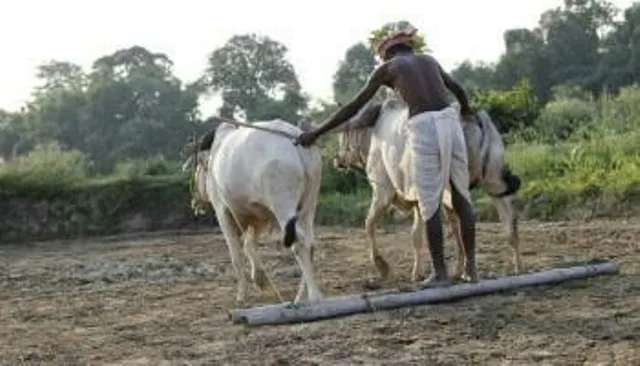 ଦୁଇବର୍ଷ ପରେ ବସିଲା ବାଲିପାଟଣା ପଞ୍ଚାୟତ ସମିତି ବୈଠକ