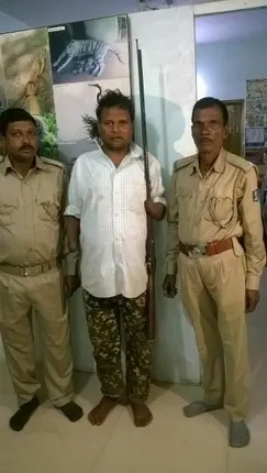 ଚନ୍ଦକାରୁ ଧରାପଡ଼ିଲା ଶିକାରୀ ଖଣ୍ଡି ସର୍ଦାର