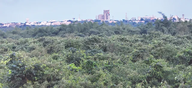 ସବୁଜ ବଳୟ ସାଙ୍ଗକୁ ପର୍ଯ୍ୟଟନର ମଜା