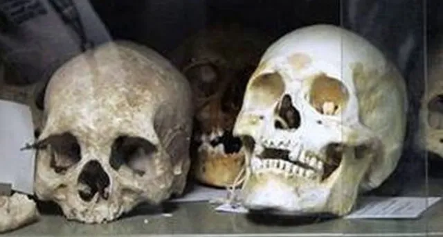 ଫରେନସିକ୍‌ ପରୀକ୍ଷା: ଅନେକ ଦିନର ପୁରୁଣା ଖପୁରି