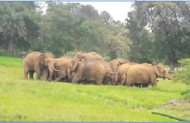 ଗାଁ ମୁହାଁ ଦନ୍ତା, ଭାଙ୍ଗିଲା ୫ ଘର