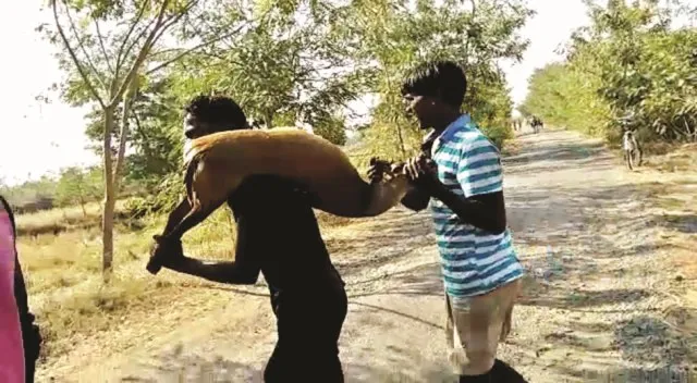 ଚାଲିଛି ବେଧଡ଼କ ପଶୁ ଶିକାର