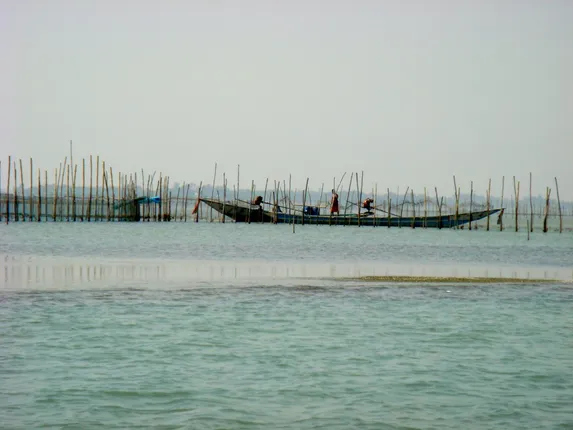 ଚିଲିକାରେ ରକ୍ତାକ୍ତ ସଂଘର୍ଷ