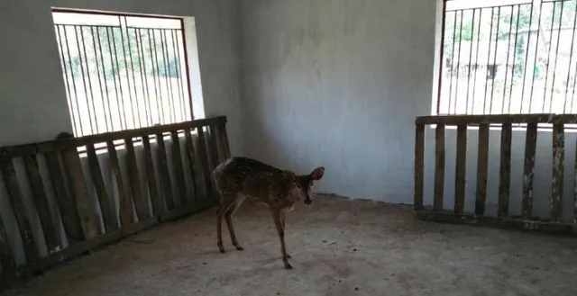 ଜଗତ୍‌ସିଂହପୁର: ହରିଣ ଉଦ୍ଧାର