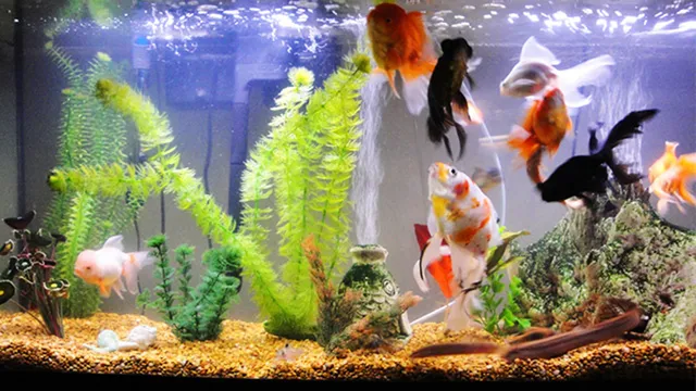 ବୁଦ୍ଧି ପରୀକ୍ଷା: ଗୋଟିଏ ପାତ୍ରରେ ୧୦ଟି ମାଛ ଥିଲେ! ୨ଟି ବୁଡ଼ିଗଲେ, ୪ଟି ପହଁରି ପଳାଇଲେ ଏବଂ ୩ ମରିଗଲେ, ଆଉ କେତୋଟି ରହିଲେ?