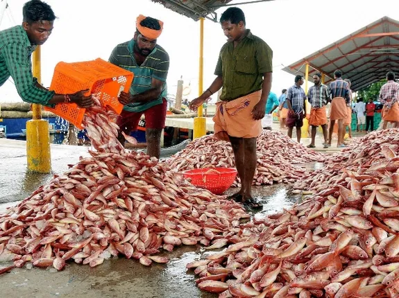 ଓଡ଼ିଶା ମତ୍ସ୍ୟଜୀବୀ କଂଗ୍ରେସର ରାଜ୍ୟ ଓ ଜିଲ୍ଲା କାର୍ଯ୍ୟକର୍ତା ନିଯୁକ୍ତ