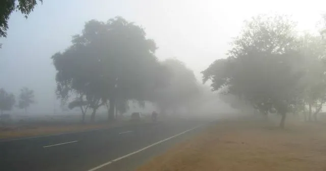 ଆଗକୁ ଶୁଖିଲା ପାଗ, ୨୧ରେ ସୃଷ୍ଟି ହୋଇପାରେ ଲଘୁଚାପ