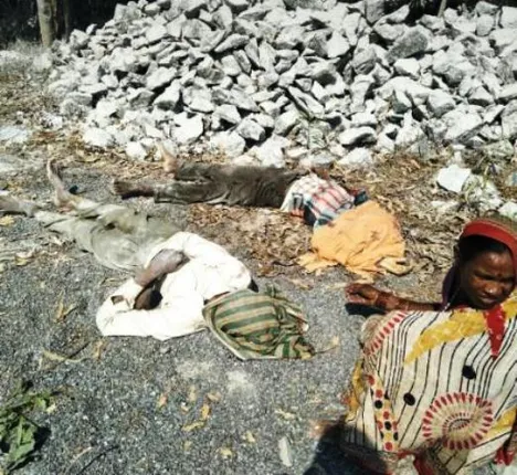 ଗଞ୍ଜାମ: କ୍ରସରରେ ଦୁର୍ଘଟଣା, ୨ ମୃତ