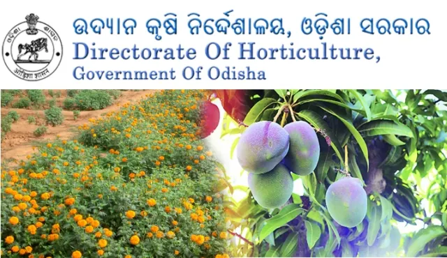 ଚାରିଆଡ଼େ କୋଟି କୋଟିର ଅନିୟମିତତା