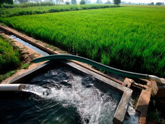 ନବରଙ୍ଗପୁର କ୍ଷୁଦ୍ର ଜଳସେଚନ ବିଭାଗରେ ପିସି କାରବାର : ୭ଯନ୍ତ୍ରୀଙ୍କ ନାମରେ ଏତଲା