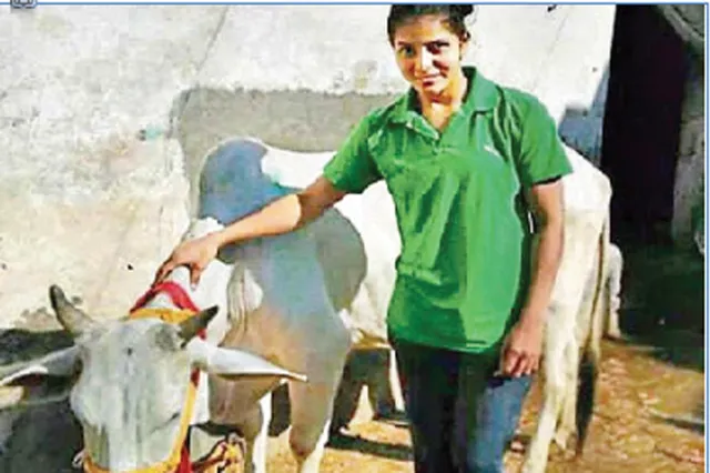 ସରକାରୀ ଗାଈ କିକ୍‌ବକ୍ସର