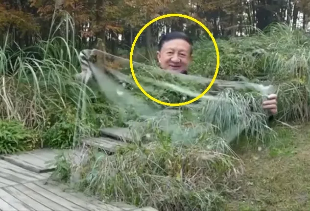 ଟ୍ରାନ୍ସପରେଣ୍ଟ କପଡ଼ା ପିନ୍ଧି ମିଷ୍ଟର ଇଣ୍ଡିଆ ଭଳି ଉଭାନ ହୋଇ ଯାଉଛନ୍ତିି ଯୁବକ : ଭିଡିଓ ଭାଇରାଲ୍‌