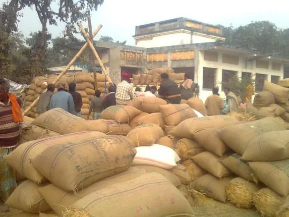 ଧାନର ମାନ କୋହଳ ପ୍ରସଙ୍ଗ : ଅନୁଧ୍ୟାନ ସାରି ଫେରିଲେ ପ୍ରତିିନିଧି