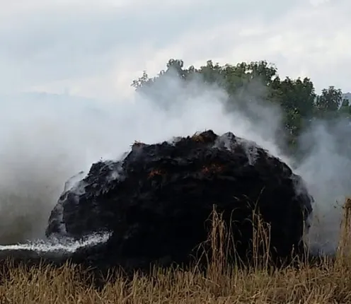 ଧାନଖଳାରେ ଭୟାବହ ଅଗ୍ନିକାଣ୍ଡ: ୧୨୦ ଭରଣ ଧାନ ନଷ୍ଟ