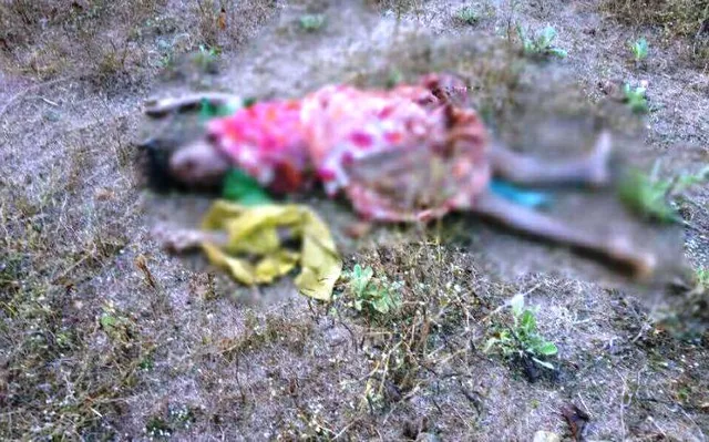 ରାଉରକେଲା: ହାତୀ ଆକ୍ରମଣରେ ମହିଳା ମୃତ