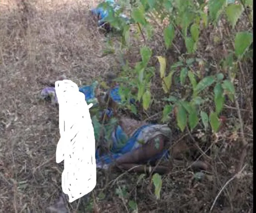 ସୁନ୍ଦରଗଡ଼: ମହିଳାଙ୍କୁ ହାତୀ ଦଳି ଦେଲା