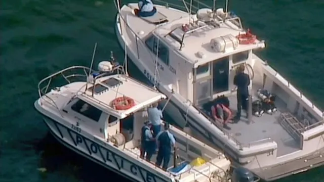 ସିଡନିରେ ସାଗର ବିମାନ ଦୁର୍ଘଟଣା: କମ୍ପାସ ଗ୍ରୁପ୍‌ ମୁଖ୍ୟଙ୍କ ସମେତ ୬ ମୃତ