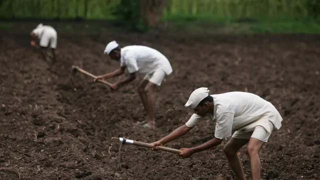 କଏଦୀ ହେବାର ଅଭିଜ୍ଞତା ହାସଲ କରିବାକୁ ଚାହାନ୍ତି କି? ମାତ୍ର ୫୦୦ ଟଙ୍କା ଦେଇ ଜେଲ୍‌ରେ କାଟିପାରିବେ ପୂରା ଗୋଟାଏ ଦିନ