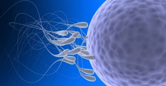 ନିଜ ବାପାଙ୍କ ଶୁକ୍ରାଣୁରୁ ଜନ୍ମିତ ଭିନ୍ନ ଭିନ୍ନ ଦେଶରେ ଥିବା ୪୦ ଭାଇ-ଭଉଣୀଙ୍କୁ ଖୋଜିଲେ ପାଇଲେ କିଆନି