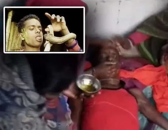 ଅନ୍ଧବିଶ୍ୱାସ : ସାପ କାମୁଡ଼ିବା ପରେ ବିଷ ଝାଡ଼ିବା ଲାଗି ଆଉ ଥରେ ସାପ କାମୁଡ଼ାକୁ ଅପେକ୍ଷା କାଳ ହେଲା !