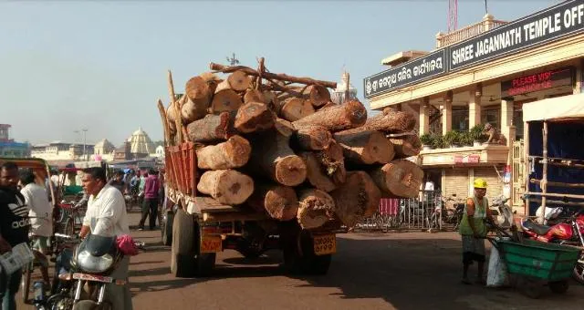 ଶ୍ରୀଜିଉଙ୍କ ରଥ ନିର୍ମାଣ ଲାଗି ଦ୍ୱିତୀୟ ପର୍ଯ୍ୟାୟ କାଠ ପୁରୀରେ ପହଞ୍ଚିଲା