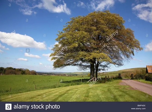 ବ୍ରେଡି ରୋଡ୍‌୍‌ ଶାଖା ସିଲ୍‌