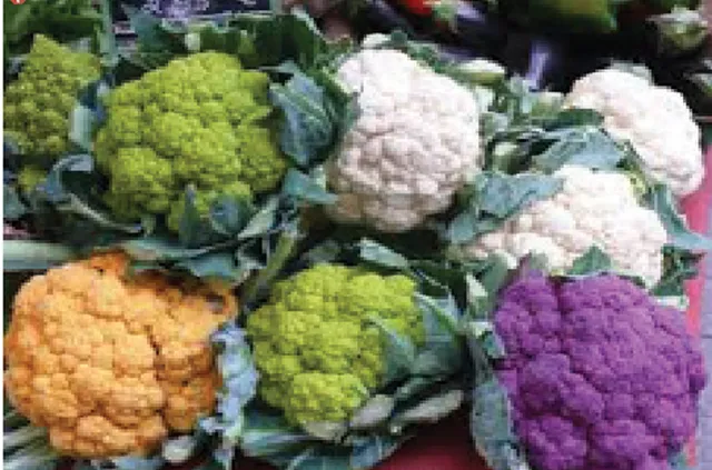 ମାତ୍ରାଧିକ ସାରର ପ୍ରଭାବ:ଫୁଲକୋବି ପାଲଟିଛି ବିଷ