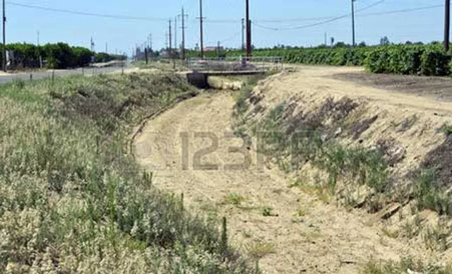 ଅତୀତର ଗୌରବ ହରାଉଛିି ଚିରେସ୍ରାତା ମହନଦୀ:ସୁରକ୍ଷା ନେଇ ଚିନ୍ତା ନାହିଁ