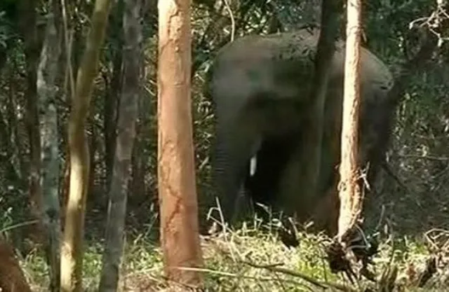 ରାଜଧାନୀରେ ଦନ୍ତାର ଦୌରାତ୍ମ୍ୟ, ଓୟୁଏଟି ଫାର୍ମ ହାଉସ୍‌ରେ ଉତ୍ପାତ