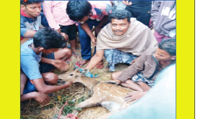 ଜଳାଶୟରୁ ହରିଣ ଉଦ୍ଧାର