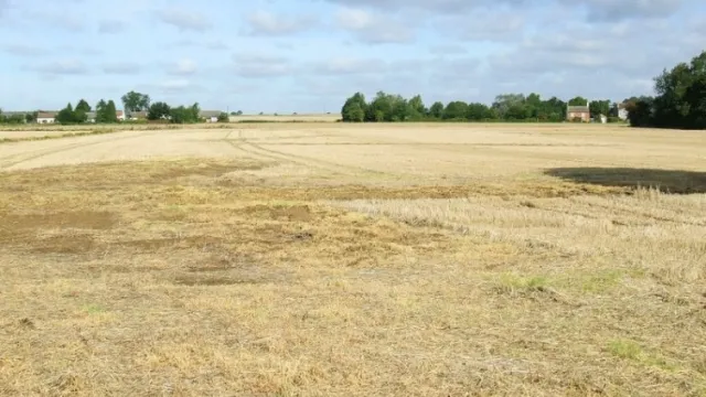 ଚକବନ୍ଦୀ କେଳେଙ୍କାରୀ : ଠାକୁରଙ୍କ ଜମି ଗିଳିିଦେଲେ