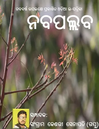 ଓଡ଼ିଆ ଭାଷା ପ୍ରଚାରରେ ସଂଗ୍ରାମଙ୍କ ଇ-ମାଗାଜିନ୍‌ ‘ନବପଲ୍ଲବ’