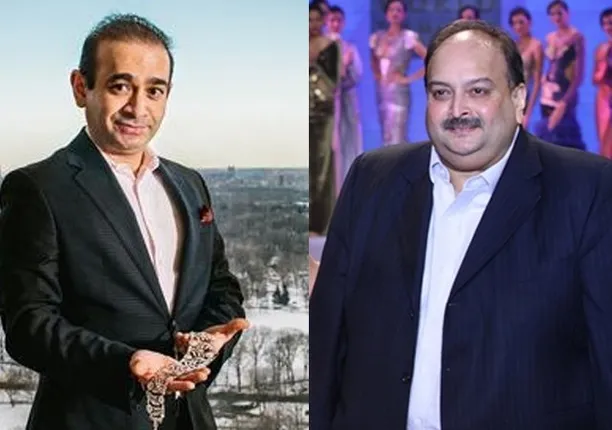 ନିରବ ମୋଦି ବିରୋଧରେ ତଥ୍ୟ ସଂଗ୍ରହ ପାଇଁ ସିଂଗାପୁରରେ ପହଞ୍ଚିଲା ଇଡି