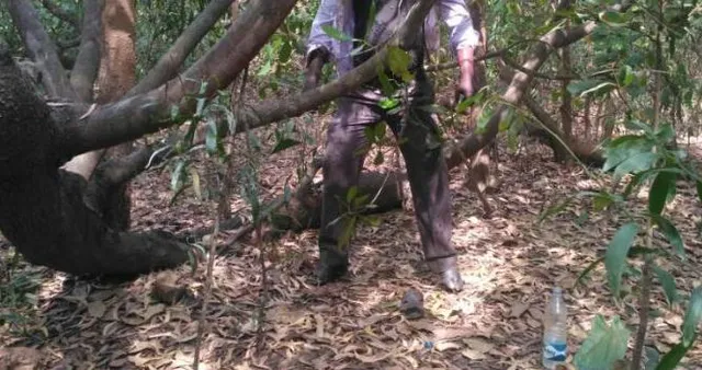 ବେଗୁନିଆ: ପୋଷ୍ଟମାଷ୍ଟରଙ୍କ ସନ୍ଦେହଜନକ ମୃତ୍ୟୁ