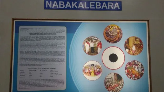 ପ୍ରାକୃତିକ ବିଜ୍ଞାନ ସଂଗ୍ରହାଳୟରୁ ହଟିବ ନବକଳେବର ଗ୍ୟାଲେରି