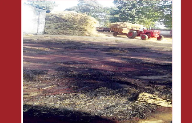 କୃଷି ଉଦ୍ୟାନରେ  ନିଆଁ:ଜଳିଗଲା ଲକ୍ଷାଧିକ ଟଙ୍କାର ବିହନ