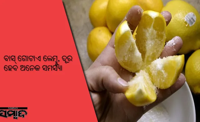 ବାସ୍‌ ଗୋଟାଏ ଲେମ୍ବୁ; ଦୂର ହେବ ଅନେକ ରୋଗ, ଦୁର୍ଗନ୍ଧ କମିବ, ଚକାଚକ୍‌ ହେବ ଘର