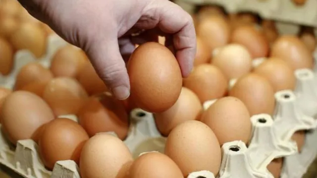 ବଜାରକୁ ଆସିଲା ‘ଆୟୁର୍ବେଦିକ ଅଣ୍ଡା’, ଜାଣନ୍ତୁ ଏହାର ଫାଇଦା ଓ ମୂଲ୍ୟ