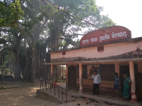 ମହୁମାଛି ଆକ୍ରମଣରେ ୧୦ ଆହତ