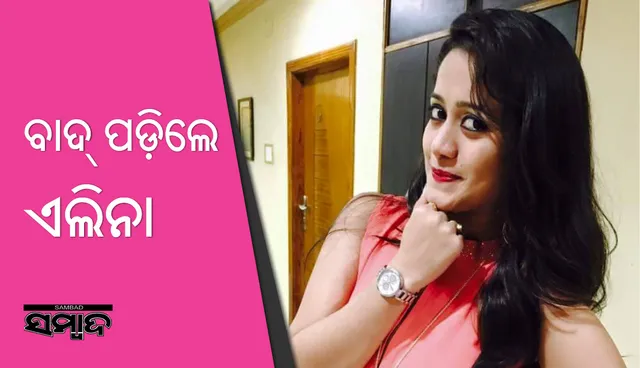 ଏହି ବ୍ୟାନର୍‌ରୁ ବାଦ୍‌ ପଡ଼ିଲେ ଏଲିନା!