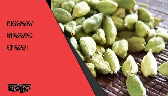 ପ୍ରତିଦିନ ଦୁଇଟି ଅଳେଇଚ ଖାଇବାର ଫାଇଦା ଜାଣନ୍ତୁ