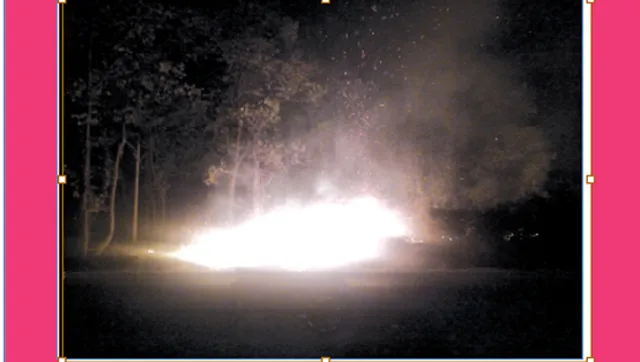 ନିଆଁ କବଳାରେ ନତଡ଼ା ଜଙ୍ଗଲ:ସଫା ହୋଇଗଲା ସବୁଜିମା