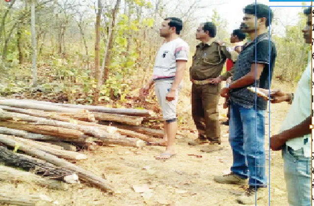 ବନ ବିଭାଗର ଆଶୀର୍ବାଦ, ଗଛ କାଟି ସୁନା ପିଲା:ଘୁଙ୍ଗି ଗାଁର ଯୁବକ ଧାଉଁଛନ୍ତି ଏ ଅଫିସ୍‌ରୁ ସେ ଅଫିସ୍‌