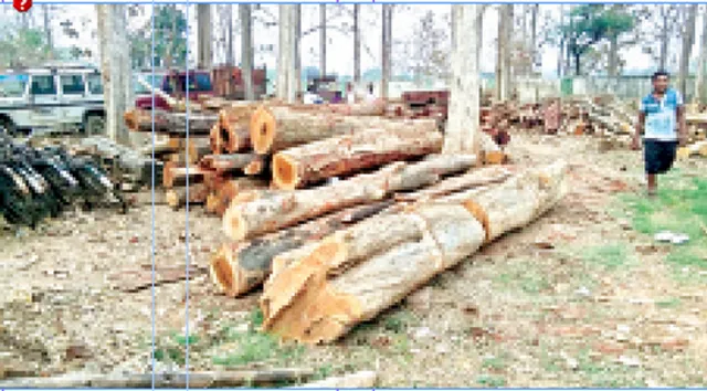 ୨୬ ଖଣ୍ଡ କାଠ ଗଣ୍ଡି ଜବତ