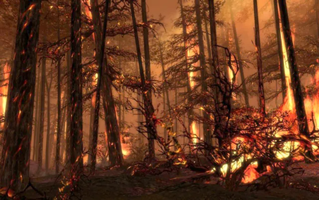 ଅଷ୍ଟ୍ରେଲିଆରେ ଜଙ୍ଗଲ ନିଆଁ ନେଲାଣି ୫୦ କୋଟି ବନ୍ୟଜନ୍ତୁଙ୍କ ଜୀବନ, ଭାରତ ଗସ୍ତ ରଦ୍ଦ କଲେ ପ୍ରଧାନମନ୍ତ୍ରୀ