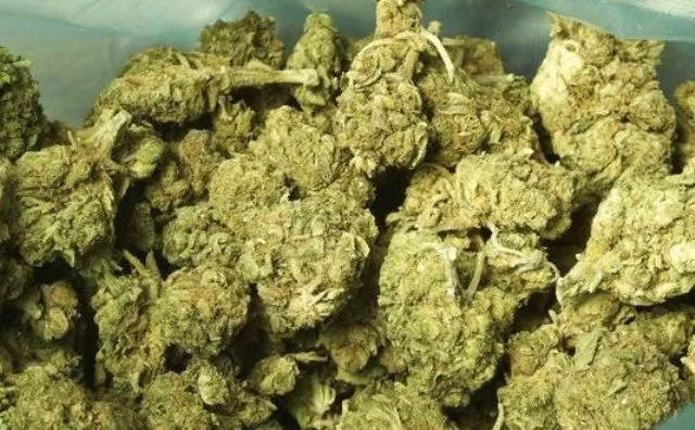 ଭୁଅାଁ ବୁଲାଉଛି ଡ୍ରାଇଭର୍‌: କଣ୍ଟେନର୍‌ରୁ ୨ କୋଟିର ଗଞ୍ଜେଇ ଜବତ ମାମଲା